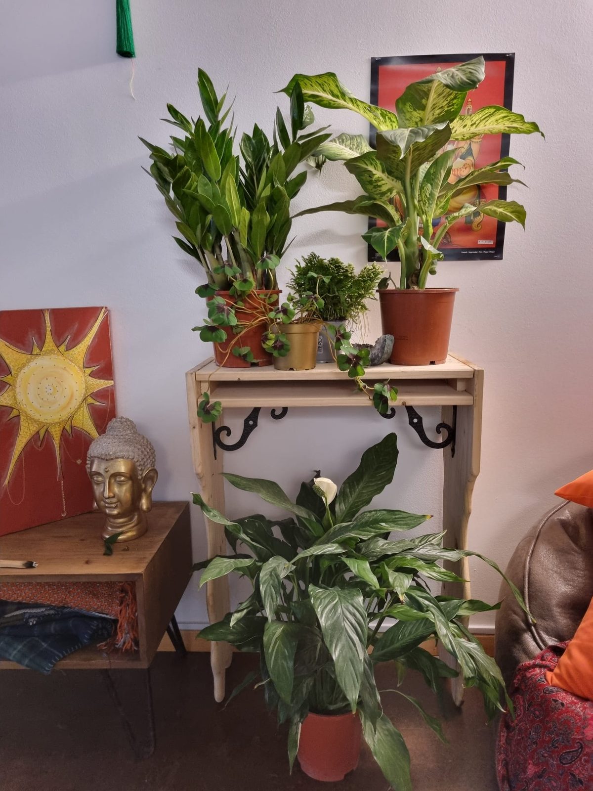 Ambiente acolhedor